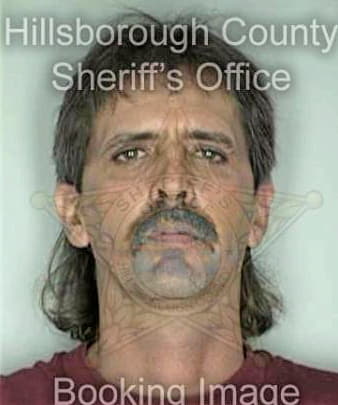 Douglas Henry - Hillsborough County, FL 