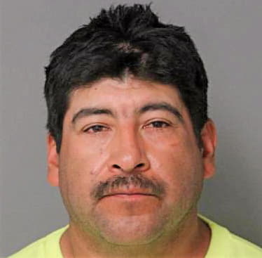 Santana-Correa Gerardo - Wake County, NC 
