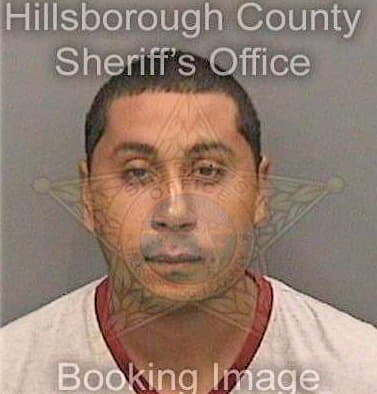 Martinezzambrana Gustavo - Hillsborough County, FL 