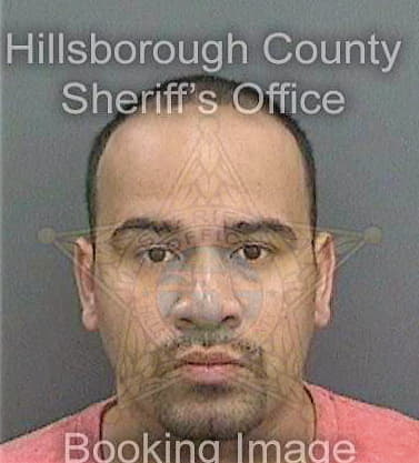 Rivera Luis - Hillsborough County, FL 
