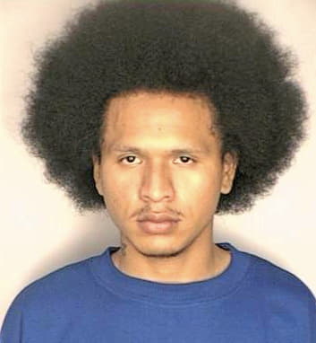 Alemanmcdonald Mikecoll - Hillsborough County, FL 