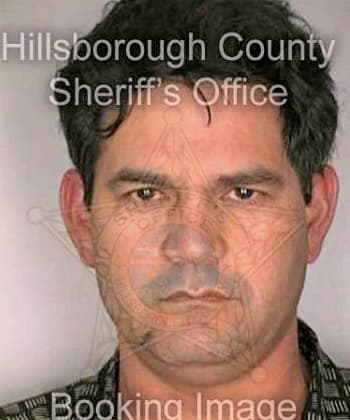 Mojarrieta Othiel - Hillsborough County, FL 