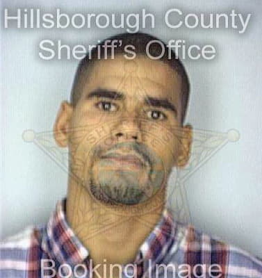 Torres Ricadeyl - Hillsborough County, FL 