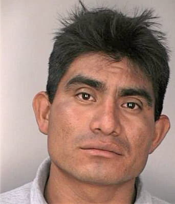 Ruizlopez Guillermo - Hillsborough County, FL 