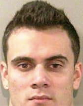 Pavel Horatiu - Leon County, FL 