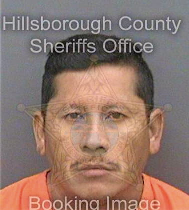 Rosalesrenteria Jose - Hillsborough County, FL 