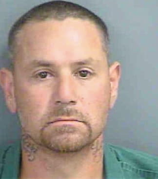 Veliz Salomon - Collier County, FL 