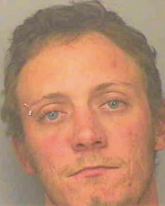 Harris William - Polk County, FL 