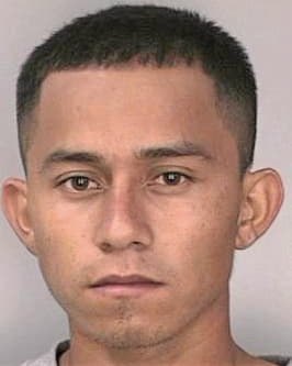 Zelaga Daniel - Hillsborough County, FL 