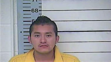 Arguello Darinel - Desoto County, MS 