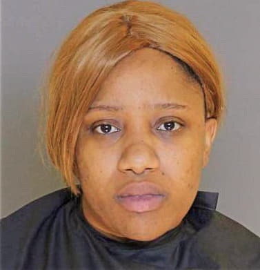Mcneal Destiny - Sumter County, SC 
