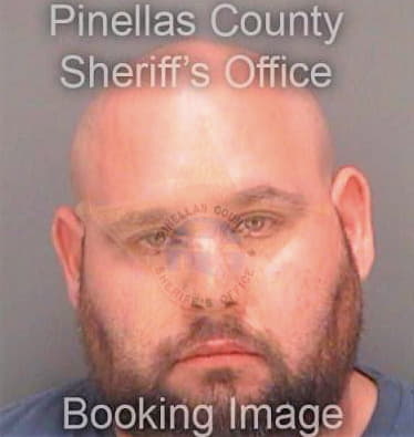 Plasse Anthony - Pinellas County, FL 
