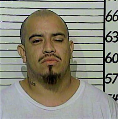 Sanchez Daniel - Comal County, TX 