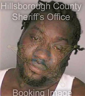 Casteel George - Hillsborough County, FL 