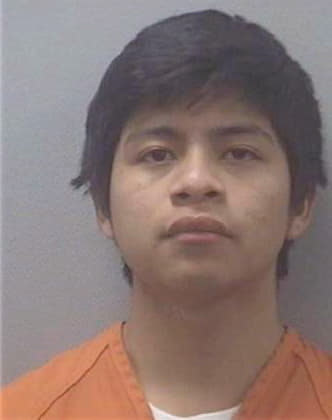 Domingo Jhony - Lexington County, SC 