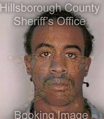 Dark Kelvin - Hillsborough County, FL 