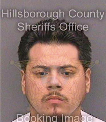 Maya Narciso - Hillsborough County, FL 