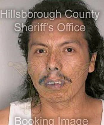 Perez Francisco - Hillsborough County, FL 