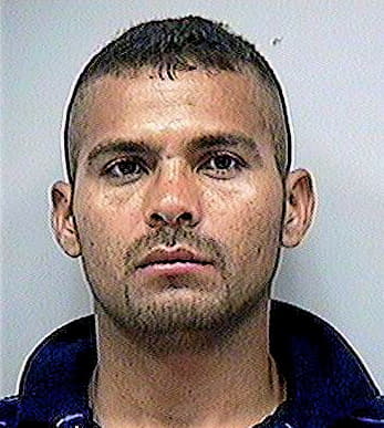 Criollo Juan - Gwinnett County, GA 