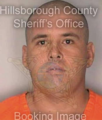 Lopezsanchez Raul - Hillsborough County, FL 