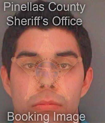 Castillo Johnny - Pinellas County, FL 