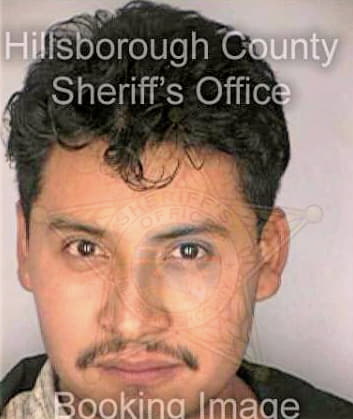 Diaz Jorge - Hillsborough County, FL 