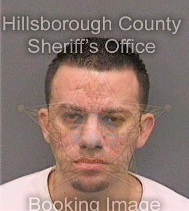 Nieves Raul - Hillsborough County, FL 