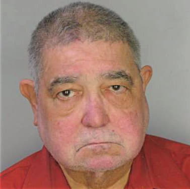 Simmons Reginold - Hillsborough County, FL 