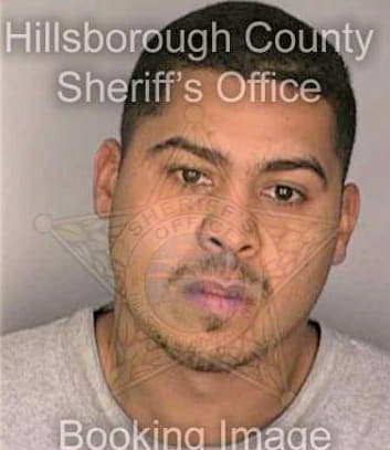 Maldonado Alvin - Hillsborough County, FL 