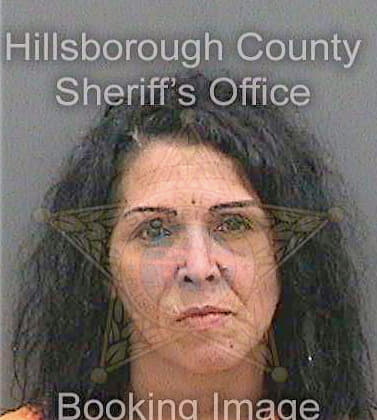 Gonzalez Arauka - Hillsborough County, FL 