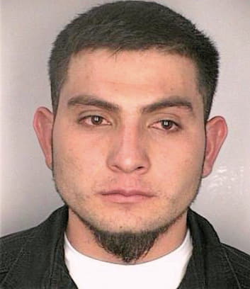Ochoaderas Carlos - Hillsborough County, FL 