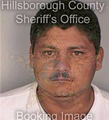 Banegas Fausto - Hillsborough County, FL 
