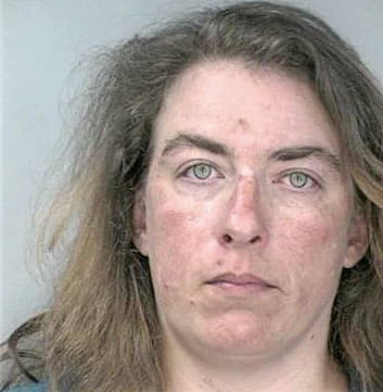 Townley Lisa - Hillsborough County, FL 