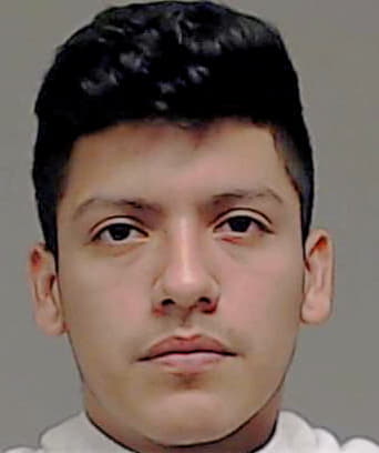 Tezen-Jara Luis - Collin County, TX 