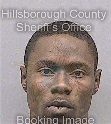 Hannah Donshae - Hillsborough County, FL 