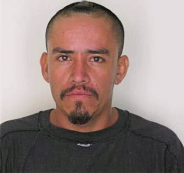 Llanez Ivan - Hillsborough County, FL 
