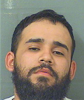 Pineda Jovani - PalmBeach County, FL 