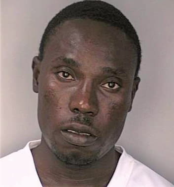 Similien Rene - Hillsborough County, FL 