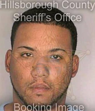 Dejesus Michael - Hillsborough County, FL 