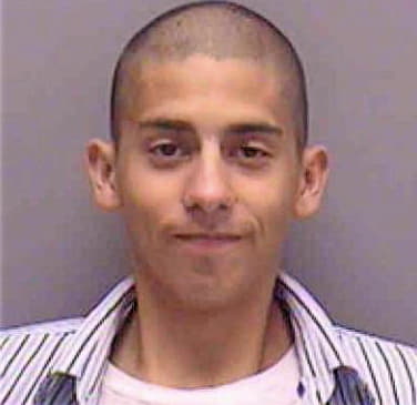 Antonelli Robert - Lee County, FL 
