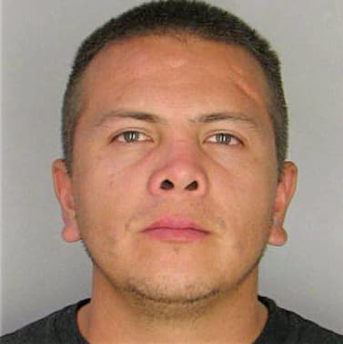 Munozsanchez Sergio - Hillsborough County, FL 