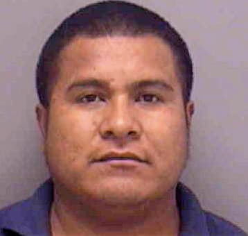 Mendoza-Castro Fulgencio - Lee County, FL 