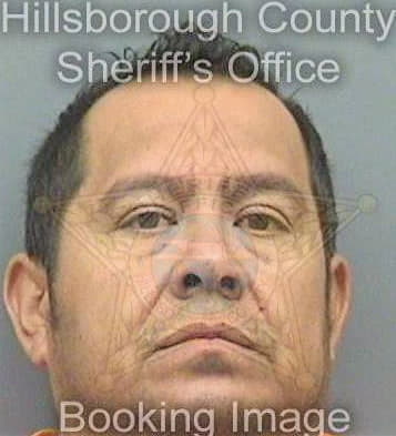 Mendezrosas Jesus - Hillsborough County, FL 
