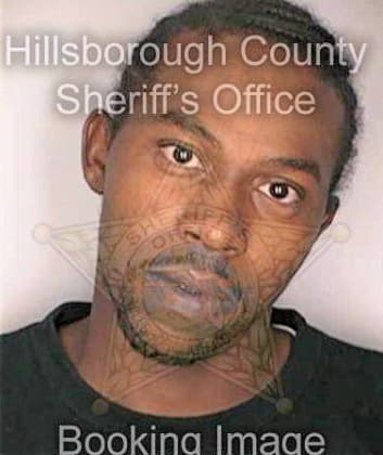 Simmons Nicholas - Hillsborough County, FL 