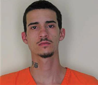 Bryer David - Hillsborough County, FL 