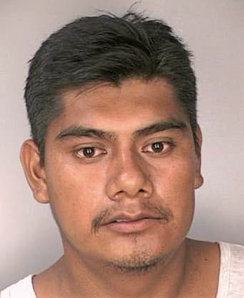 Gomezchavez Maximino - Hillsborough County, FL 