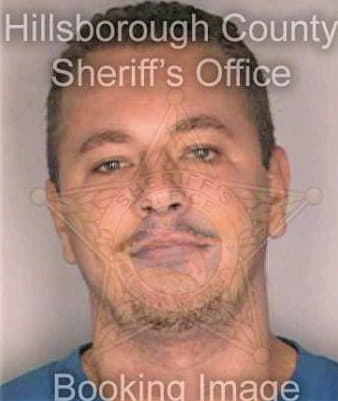 Wood Michael - Hillsborough County, FL 