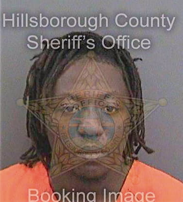 Ellison Delonzo - Hillsborough County, FL 