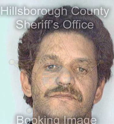 Quinones Emanuel - Hillsborough County, FL 