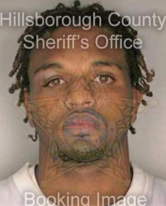 Archer Kelvin - Hillsborough County, FL 